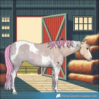 Horse Color:Watercolor Grullo Ice Tobiano Rabicano 