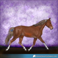 Horse Color:Chestnut Tobiano