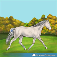 Horse Color:Cremello Sabino