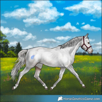 Horse Color:Silver Bay Tobiano Varnish 