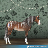 Horse Color:Powder White Bay
