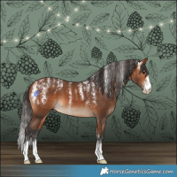 Horse Color:Powder White Bay