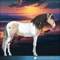 Horse Color:Bay Dun Tobiano 