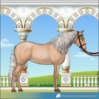 Horse Color:Silver Bay Roan Pearl 