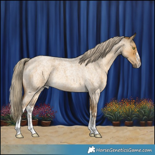 Horse Color:White Spotted Chocolate Palomino Roan Dun Mushroom 