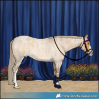 Horse Color:White Spotted Chocolate Palomino Roan Dun Mushroom 
