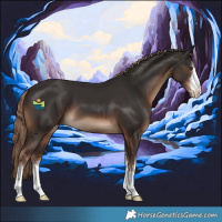 Horse Color:White Spotted Liver Chestnut