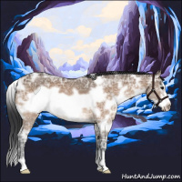 Horse Color:White Spotted Bay Ice Dun Frame 