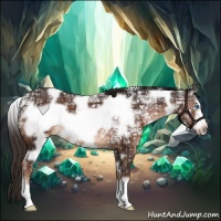 Horse Color:White Spotted Liver Chestnut Ice Frame