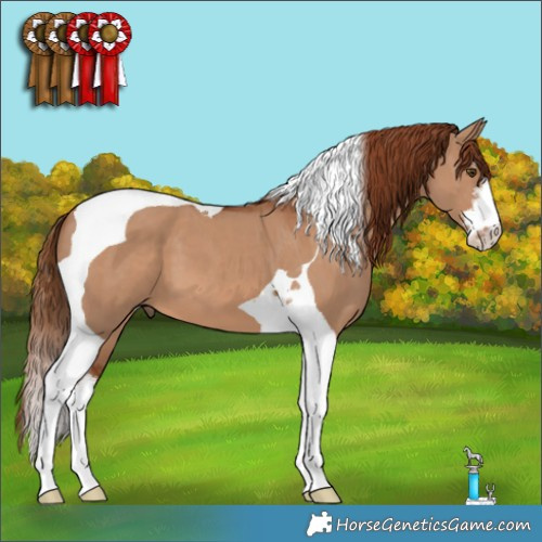 Horse Color:White Spotted Red Dun Tobiano 