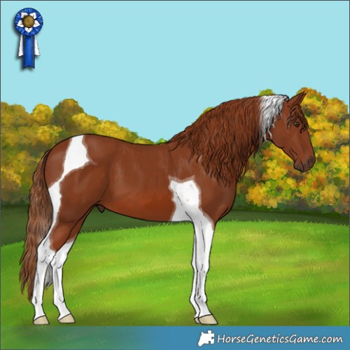 Horse Color:Chestnut Tobiano 
