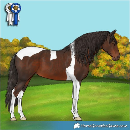 Horse Color:Liver Chestnut Tobiano 