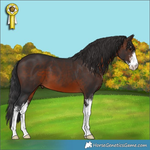 Horse Color:Brown Sabino 