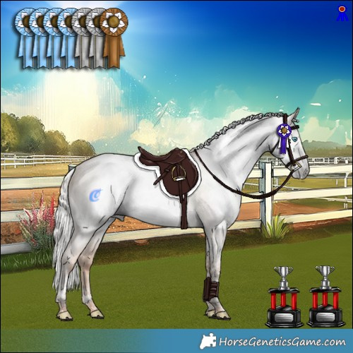 Horse Color:Gray Silver Amber Champagne Pearl Dun Mushroom Tobiano Rabicano 