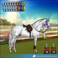 Horse Color:Gray Silver Amber Champagne Pearl Dun Mushroom Tobiano Rabicano 