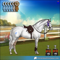 Horse Color:Gray Silver Amber Champagne Pearl Dun Mushroom Tobiano Rabicano