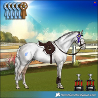 Horse Color:Gray Silver Amber Champagne Pearl Dun Mushroom Tobiano Rabicano