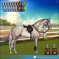 Horse Color:Gray Silver Amber Champagne Pearl Dun Mushroom Tobiano Rabicano 
