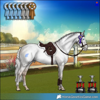Horse Color:Gray Silver Amber Champagne Pearl Dun Mushroom Tobiano Rabicano 