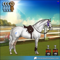 Horse Color:Gray Silver Amber Champagne Pearl Dun Mushroom Tobiano Rabicano