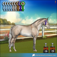 Horse Color:Gray Silver Amber Champagne Pearl Dun Mushroom Tobiano Rabicano 