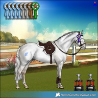 Horse Color:Gray Silver Amber Champagne Pearl Dun Mushroom Tobiano Rabicano