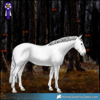 Horse Color:Gray White Spotted Silver Sable Champagne Snowdrop Pearl Dun Mushroom Splash Tobiano Frame Appaloosa Rabicano 