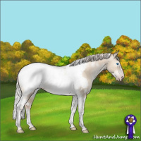 Horse Color:Gray White Spotted Silver Sable Champagne Pearl Dun Mushroom Splash Tobiano Frame Appaloosa Rabicano