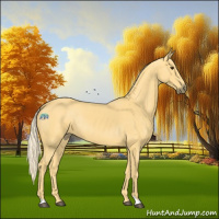 Horse Color:Palomino Rabicano