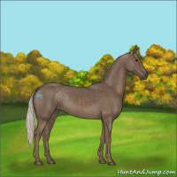 Horse Color:Silver Black 