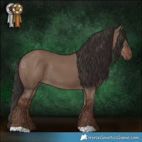 Horse Color:Liver Red Dun Rabicano 