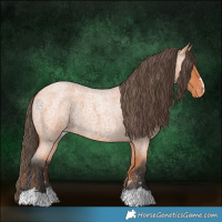 Horse Color:Bay Roan Varnish