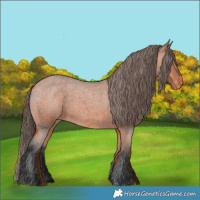 Horse Color:Bay Roan Varnish