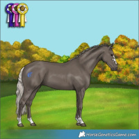 Horse Color:Silver Black 