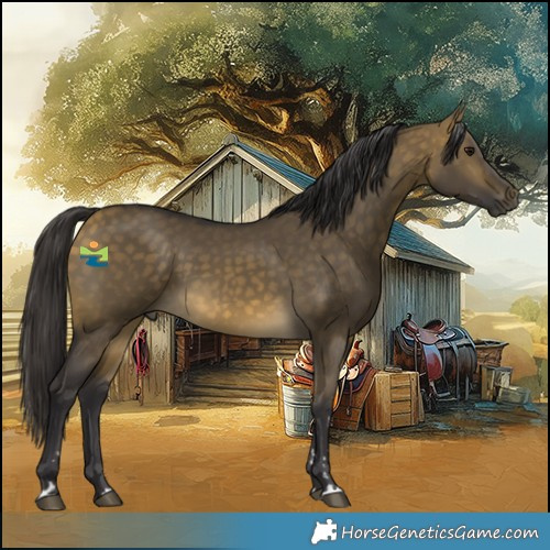 Horse Color:Buckskin Dun 