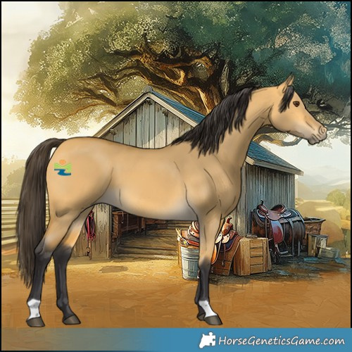Horse Color:Buckskin Dun 