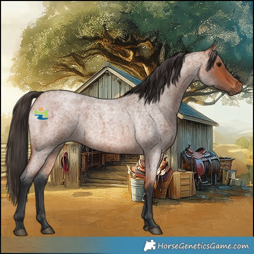 Horse Color:Bay Roan 