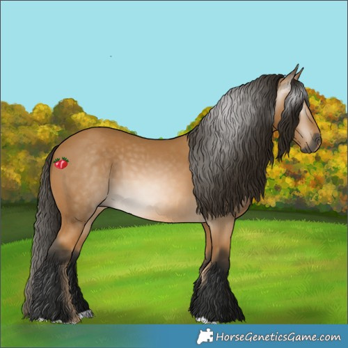 Horse Color:Gray Buckskin 