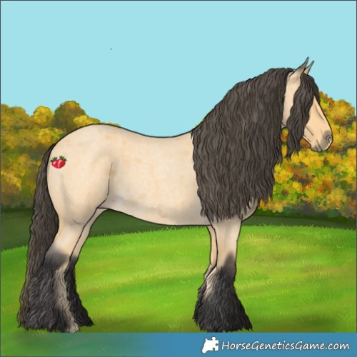 Horse Color:Buckskin Roan