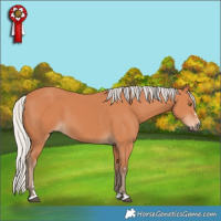 Horse Color:Silver Bay 