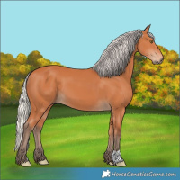 Horse Color:Silver Bay 
