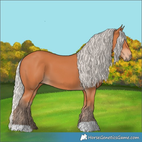 Horse Color:Silver Bay 