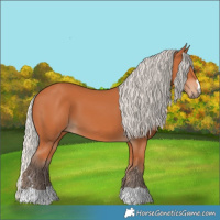 Horse Color:Silver Bay 