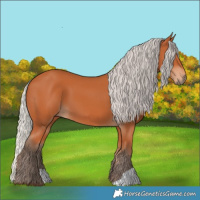 Horse Color:Silver Bay 