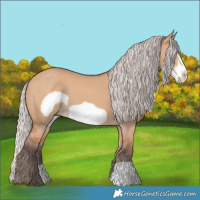 Horse Color:Silver Bay Dun Frame 