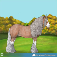 Horse Color:Silver Bay Roan Splash 