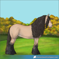 Horse Color:Bay Dun
