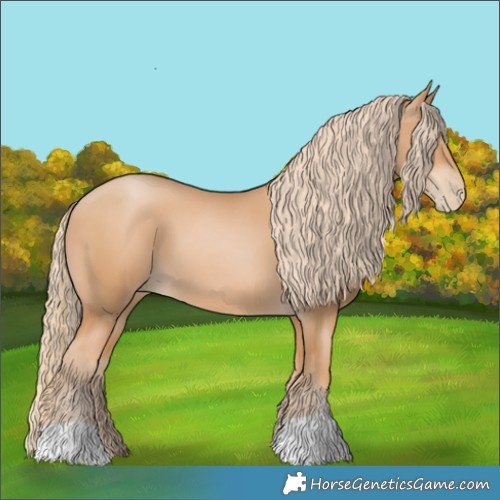 Horse Color:Chestnut Pearl 