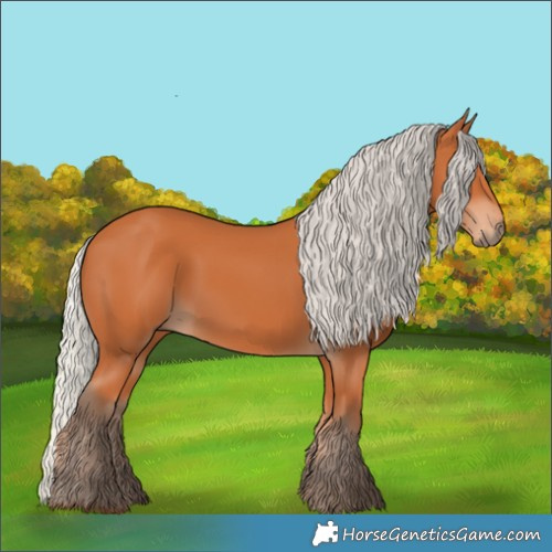 Horse Color:Silver Bay 