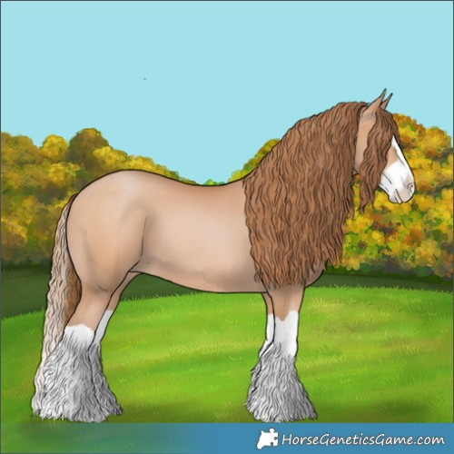 Horse Color:Bay Pearl Splash 
